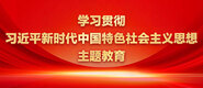 操鸡黄色视频学习贯彻习近平新时代中国特色社会主义思想主题教育_fororder_ad-371X160(2)